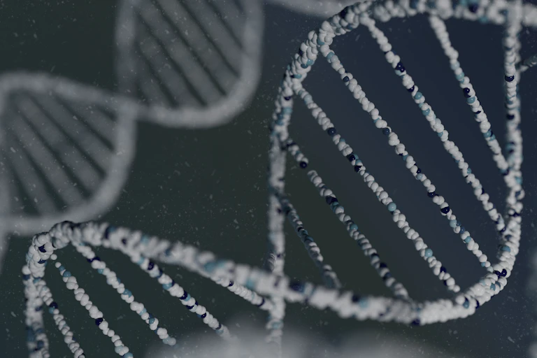 DNA double helix