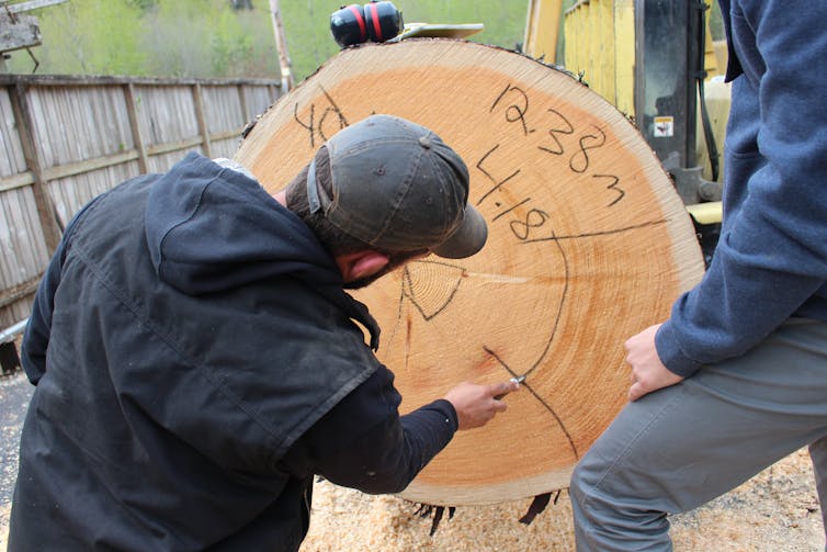 Friday essay: the guitar industry's hidden environmental problem — and the people trying to fix it