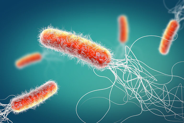 An artistic rendering of the Pseudomonas aeruginosa bacteria, which causes infections in the body.