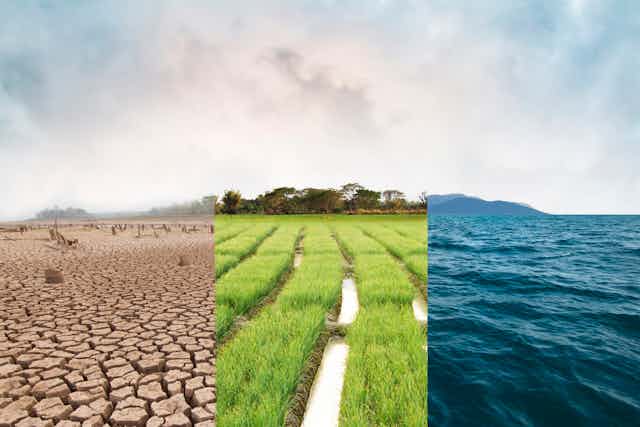A collage of three pictures illustrating drought, a green field and the ocean.