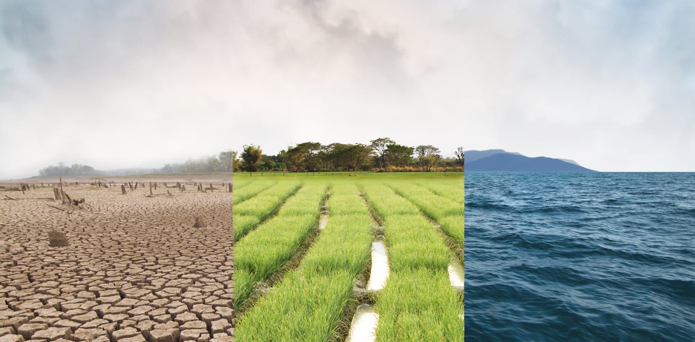 Climate change risk is complex: here is a way to assess it