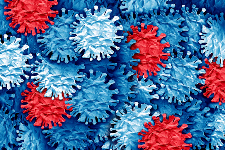Graphic of coronaviruses