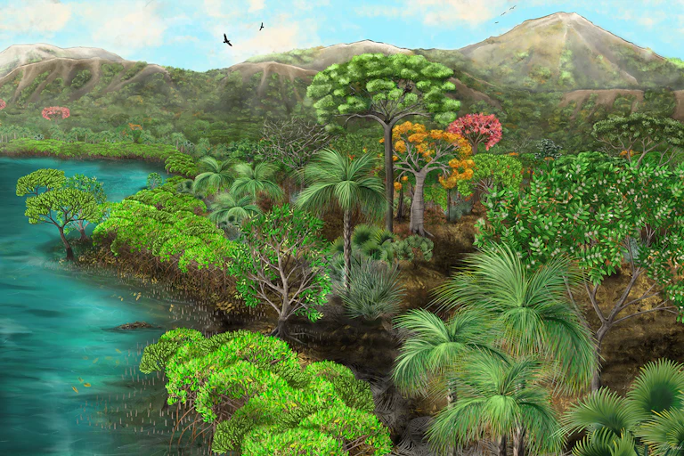 Artist's illustration of mangroves and flowering trees beside water, with mountains behind