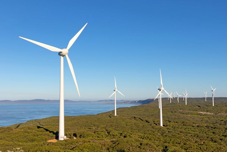 Wind farm near coast