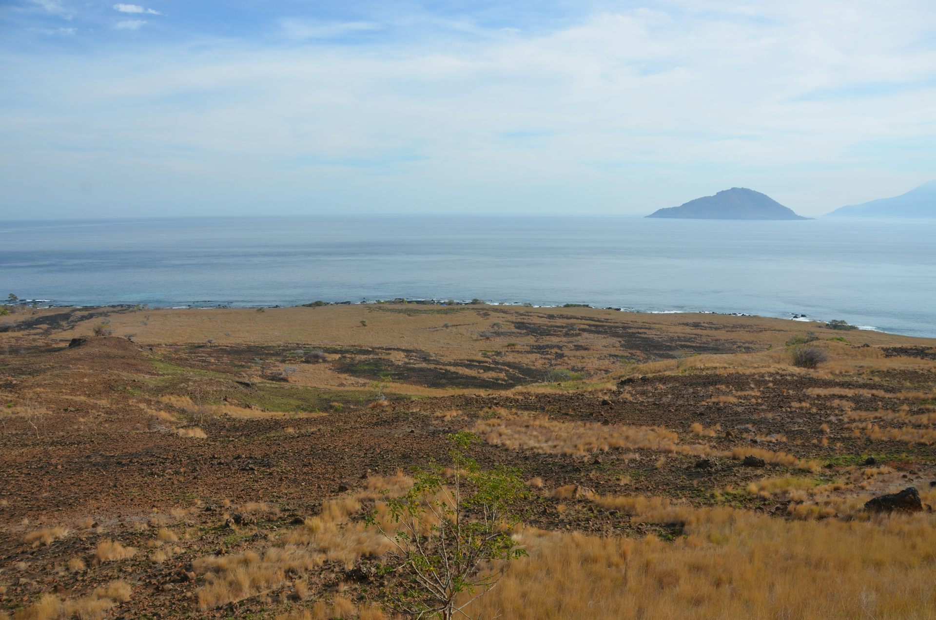 Humans weren't to blame for the extinction of prehistoric island-dwelling animals