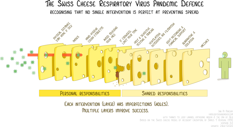 A graphic showing virus particles passing through the holes in slices of Swiss cheese, as explained in previous paragraphs.