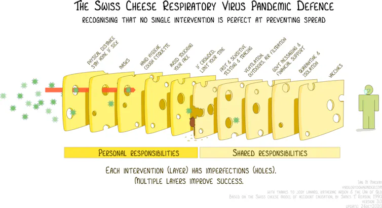 A graphic showing virus particles passing through the holes in slices of Swiss cheese, as explained in previous paragraphs.