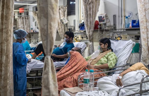 Selling a buffalo for a brain scan: India's COVID-19 crisis reveals deep fractures in its health system