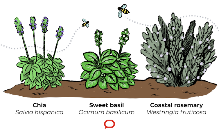 These 3 tips will help you create a thriving pollinator-friendly garden this winter