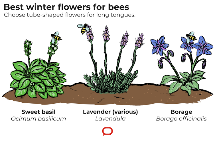 These 3 tips will help you create a thriving pollinator-friendly garden this winter