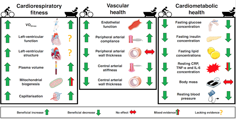 Diagramme montrant les fonctions de santé qui s’améliorent avec le bain/l’exercice.