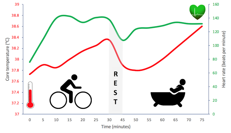 Line graph showing heart rate (green) and temperature (red).