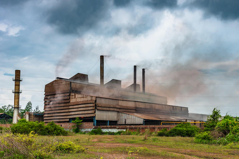 A smoky factory in a tropical setting.