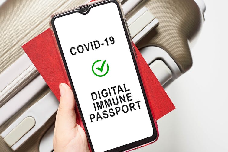 A person holds a phone that says COVID-19 Digital Immune Passport.