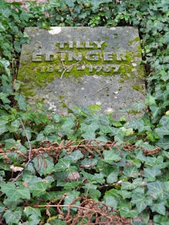 Picture of a gravestone with the name 'Tilly Edinger'.