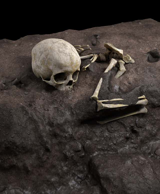 Image based on a virtual ideal reconstruction of Mtoto’s position in the burial pit.           