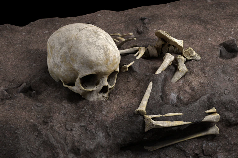 Image based on a virtual ideal reconstruction of Mtoto’s position in the burial pit.