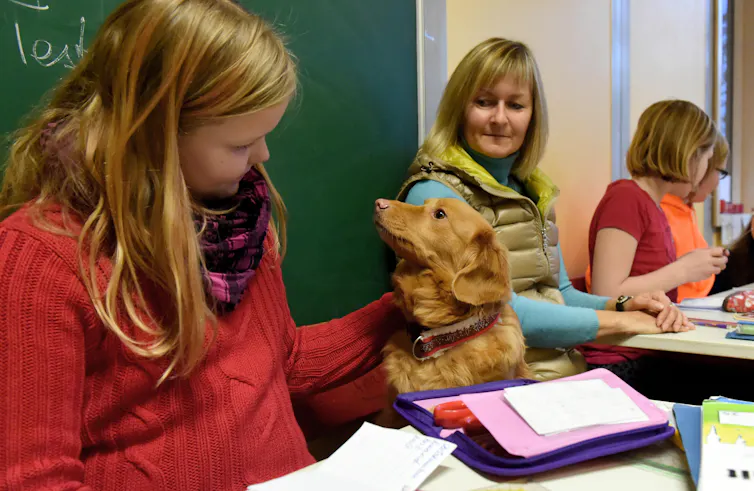 A girl in a red jumper sits at her desk in class stroking a dog