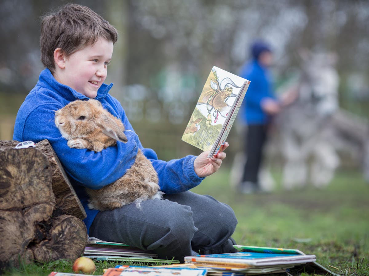 How school pets can help children to learn and read