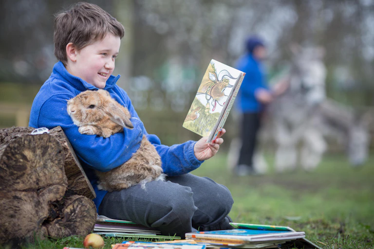A boy in school uniform holds a big rabbit against his chest while reading in the playground