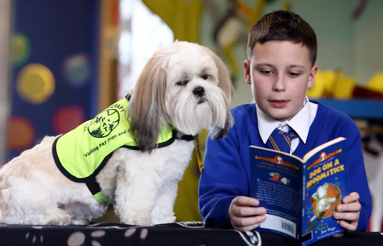 A boy in school uniform reads a book about a dog to a white Lhasa Apso dog wearing a high-vis vest