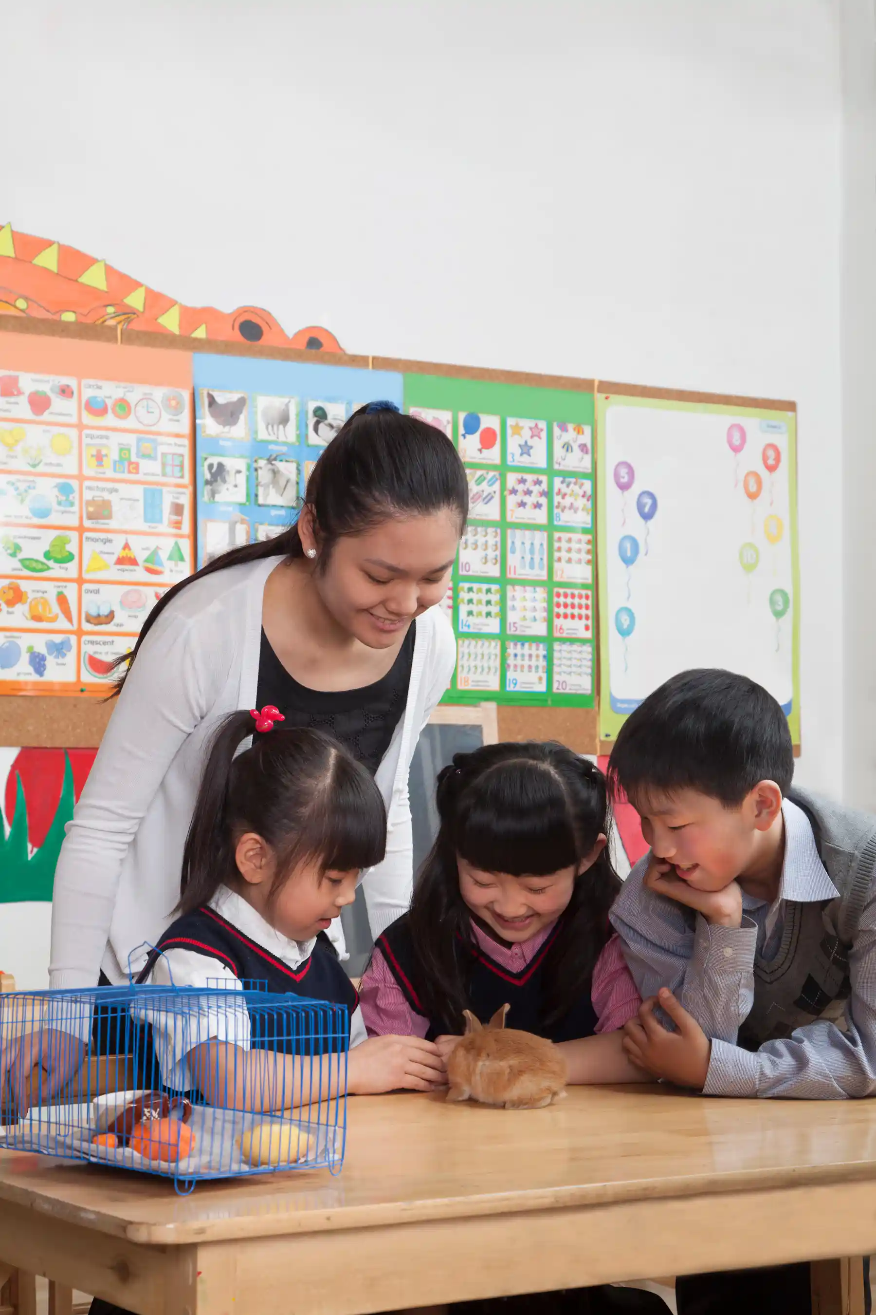 How school pets can help children to learn and read