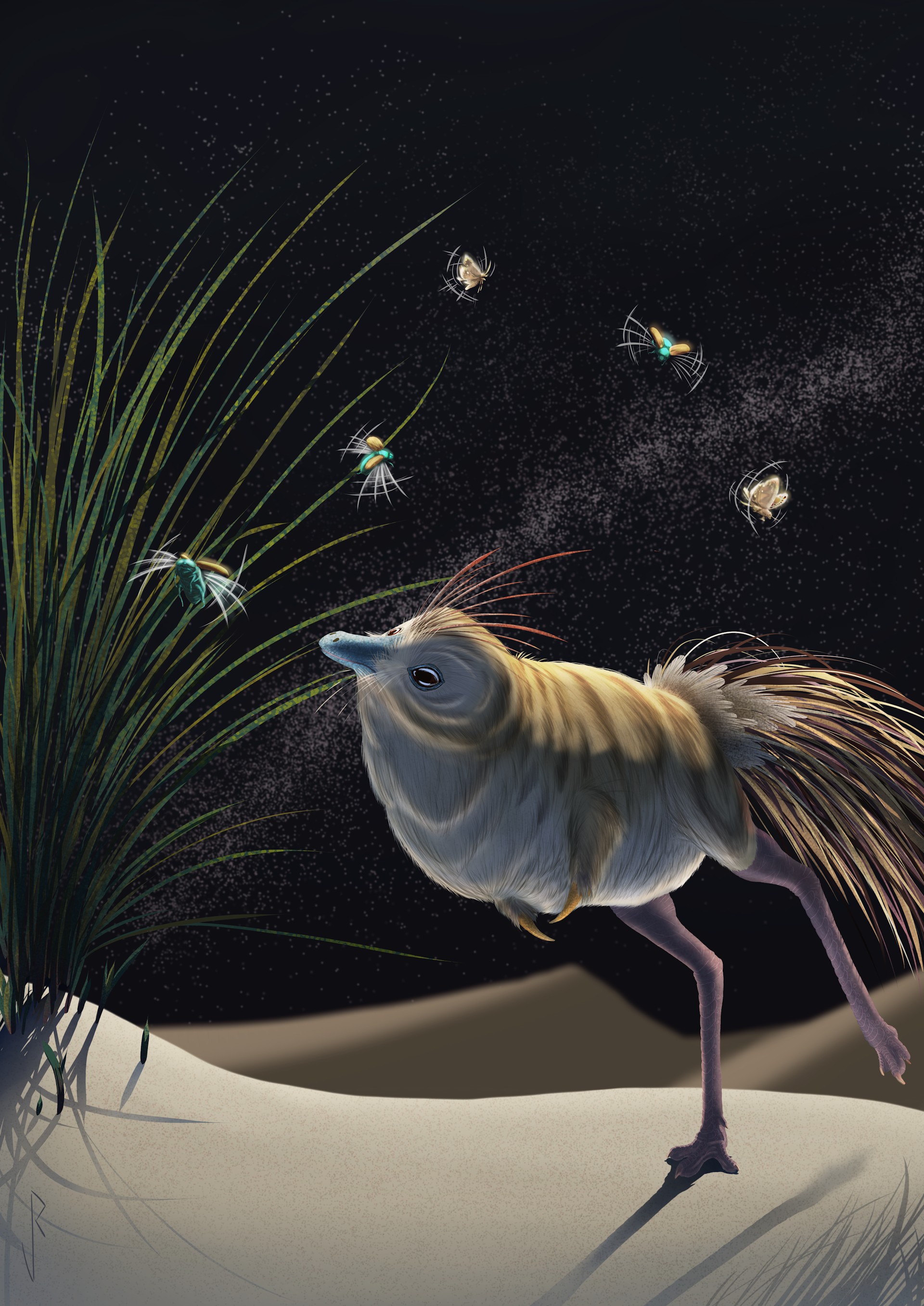 An artistic reconstruction showing _S. deserti as a small, feathered bipedal dinosaur with an owlish face