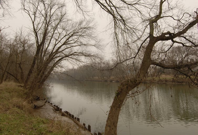 Bank of the Rappahannock River