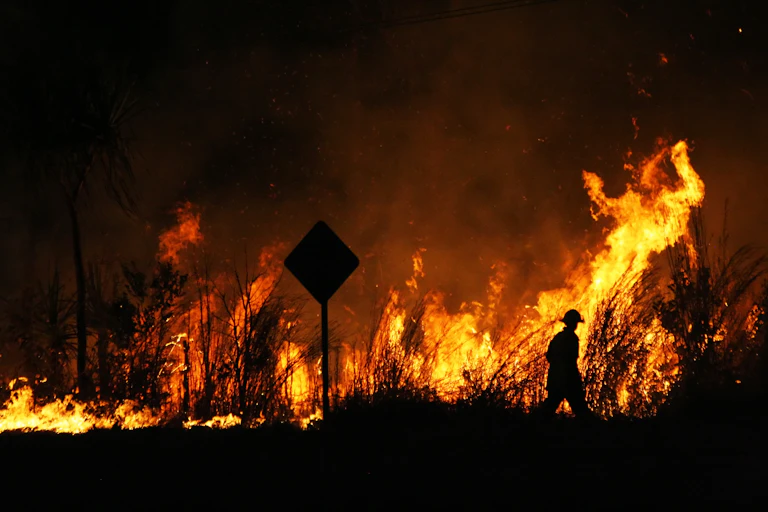 bushfire silhouette