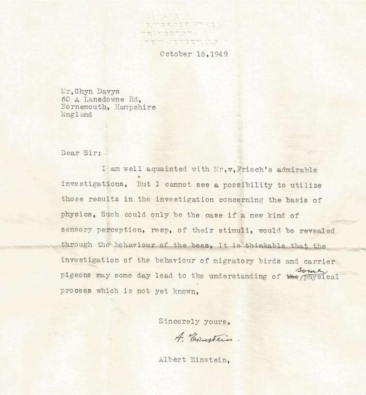 Long-lost letter from Albert Einstein discusses a link between physics and biology, 7 decades before evidence emerges