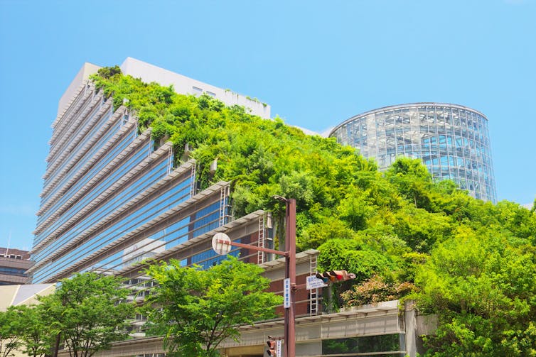 Vegetation covers the exterior of a building in a Japanese city.