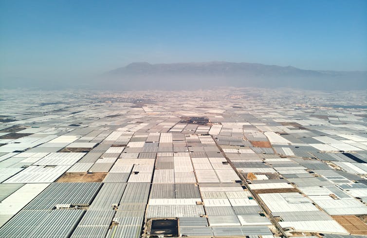 Lots of greenhouses seen from above