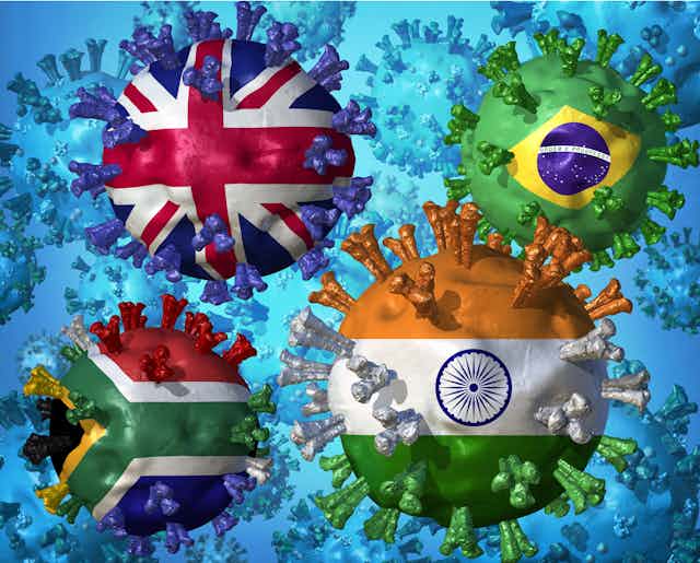 Ilustración de cuatro virus con banderas de UK, Brasil, India y Sudáfrica.