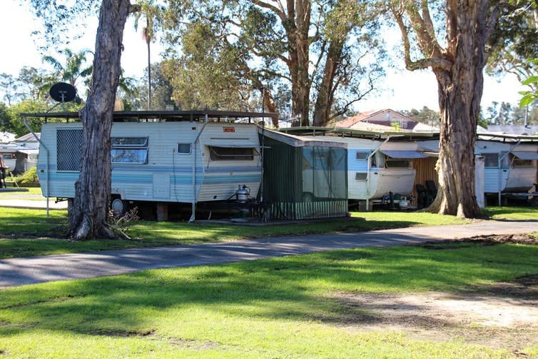 caravans under trees in a caravan park