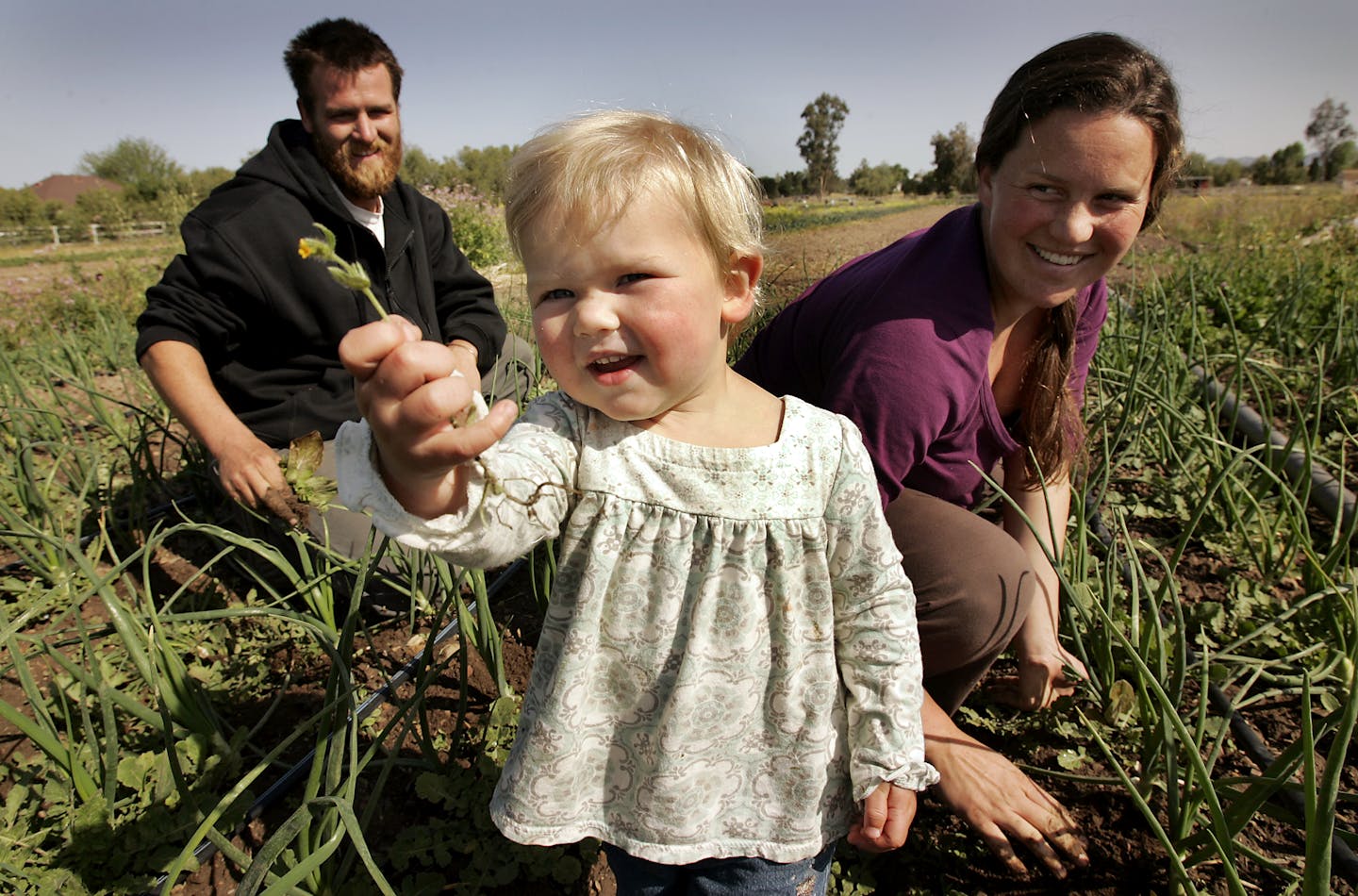 A couple and their young daughter in a farm field. The little girl holds a flower up for the camera.