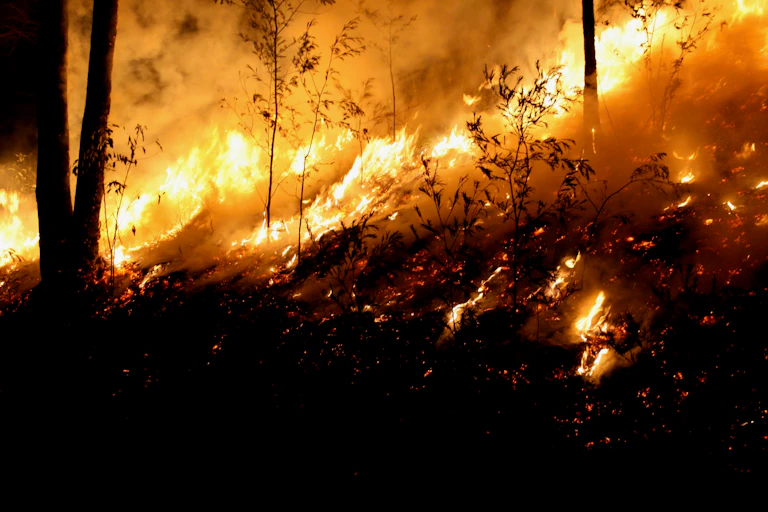 Bushfire on hill