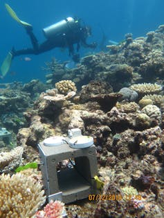 Diver and equipment at a coral reef