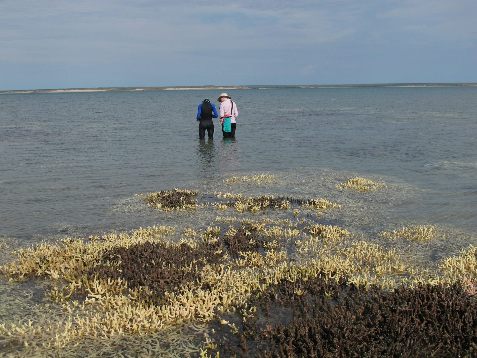 People standing on a coal reef