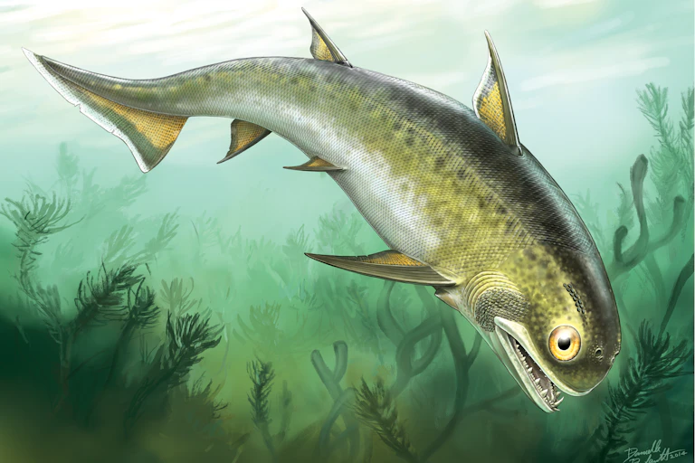 A drawing of a type of acanthodian fish, with seaweed in the background.