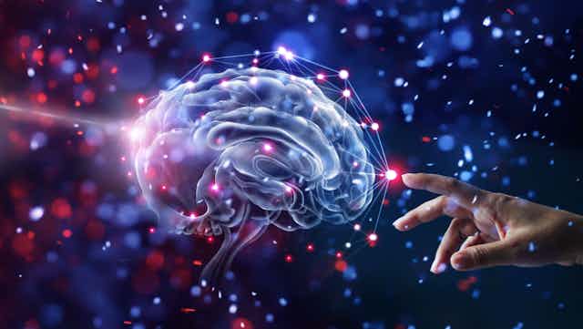 A New Understanding Of How The Human Brain Controls Our Hands New Research A New Understanding Of How The Human Brain Controls Our Hands New Research