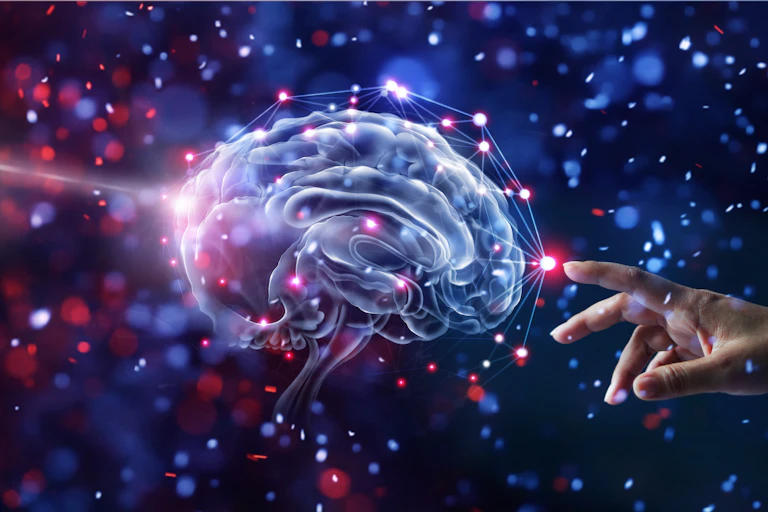 A computer generated image of a brain next to a hand.
