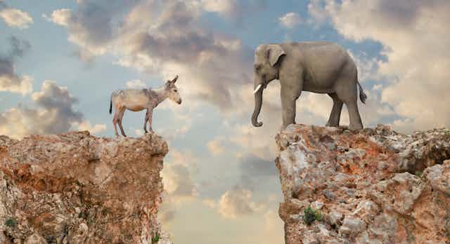 A donkey and an elephant staring at each other from opposite cliffs that are divided by a bottomless chasm.