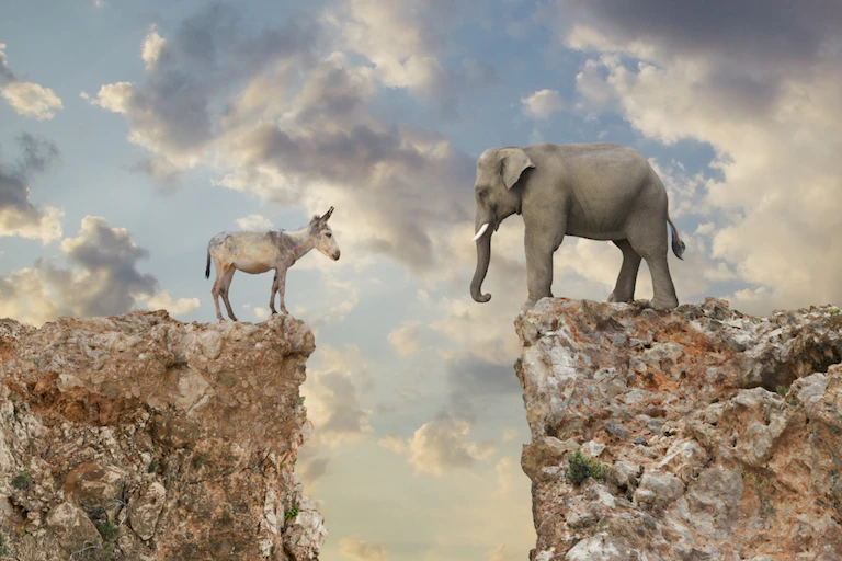 A donkey and an elephant staring at each other from opposite cliffs that are divided by a bottomless chasm.
