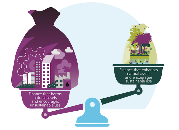 Graphic showing the need for more spending on conservation.