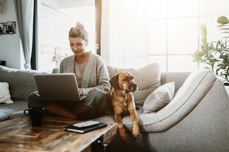 A woman sits on the couch working on her laptop, with a dog next to her.