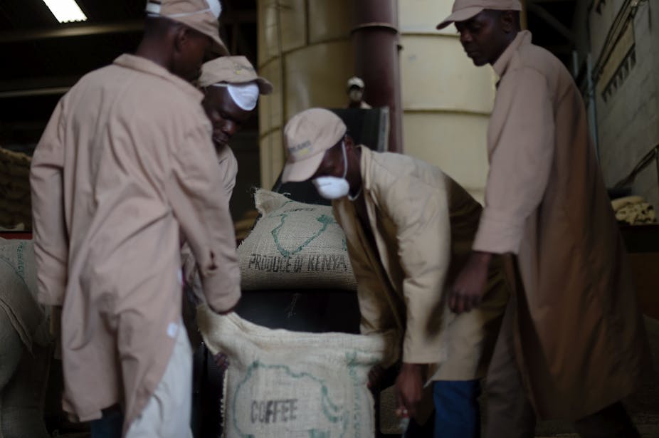 Kenyan workers packing coffee in large cloth bags