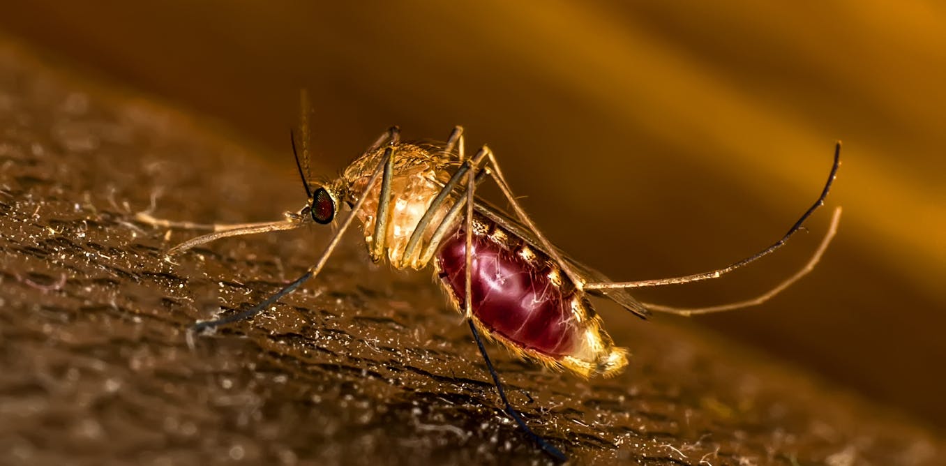 Malaria control needs longer lasting repellents. We’re a step closer to ...