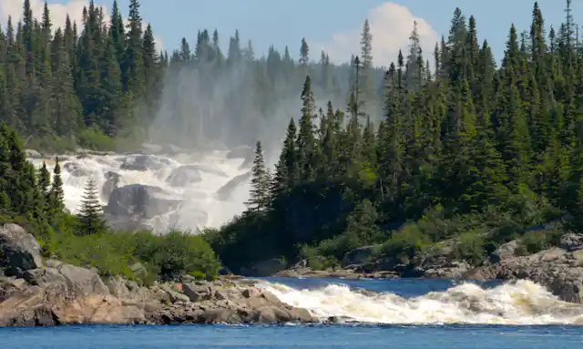 A large wide river rushing over rocks and past evergreen trees