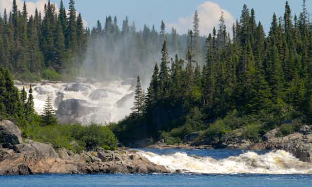 A large wide river rushing over rocks and past evergreen trees