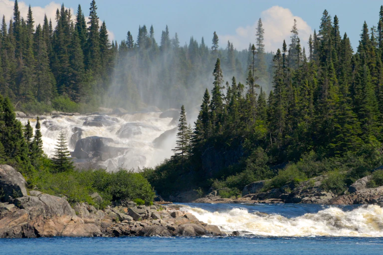 A large wide river rushing over rocks and past evergreen trees